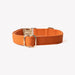 'Terracotta' - Canvas Dog Collar - Equine Exchange Tack Shop