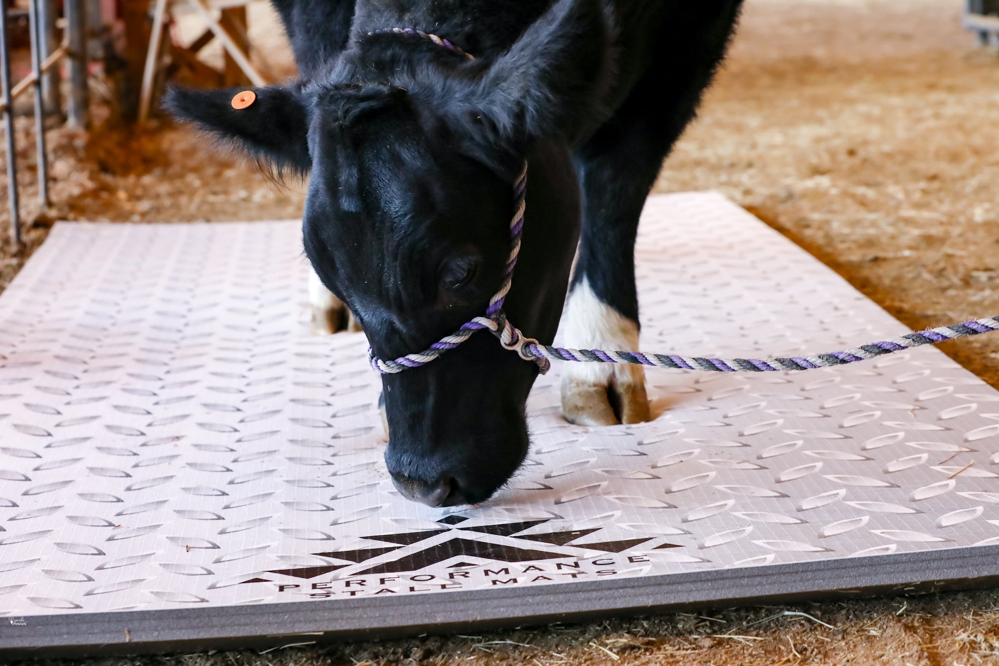5x10ft Diamond Plate Print Mat  