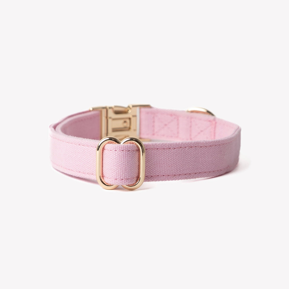 'Pink' - Canvas Dog Collar - Equine Exchange Tack Shop