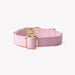 'Pink' - Canvas Dog Collar - Equine Exchange Tack Shop