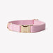 'Pink' - Canvas Dog Collar - Equine Exchange Tack Shop