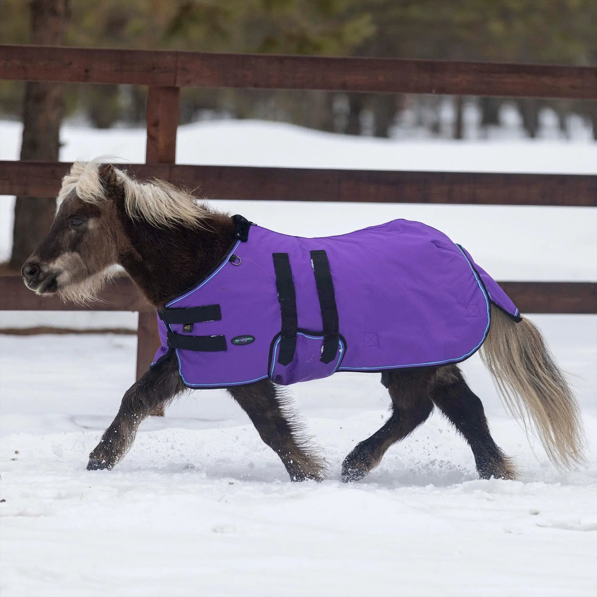 1200D 300G Heavy Weight Waterproof & Breathable Winter Mini Turnout Blanket - Equine Exchange Tack Shop
