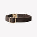 'Brown' - Canvas Dog Collar - Equine Exchange Tack Shop
