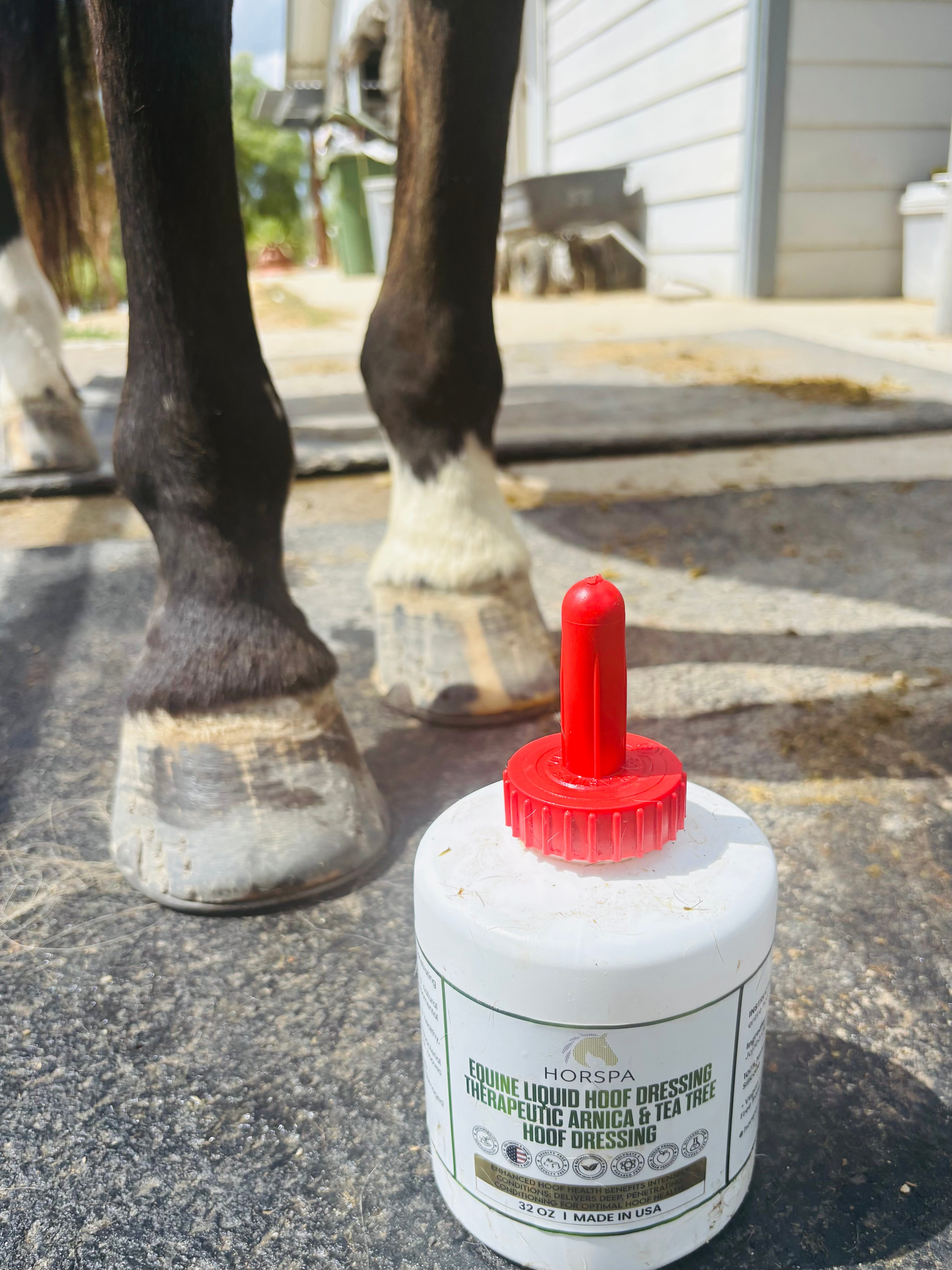 Equine Liquid Hoof Dressing  Arnica & Tea Tree  32 oz  