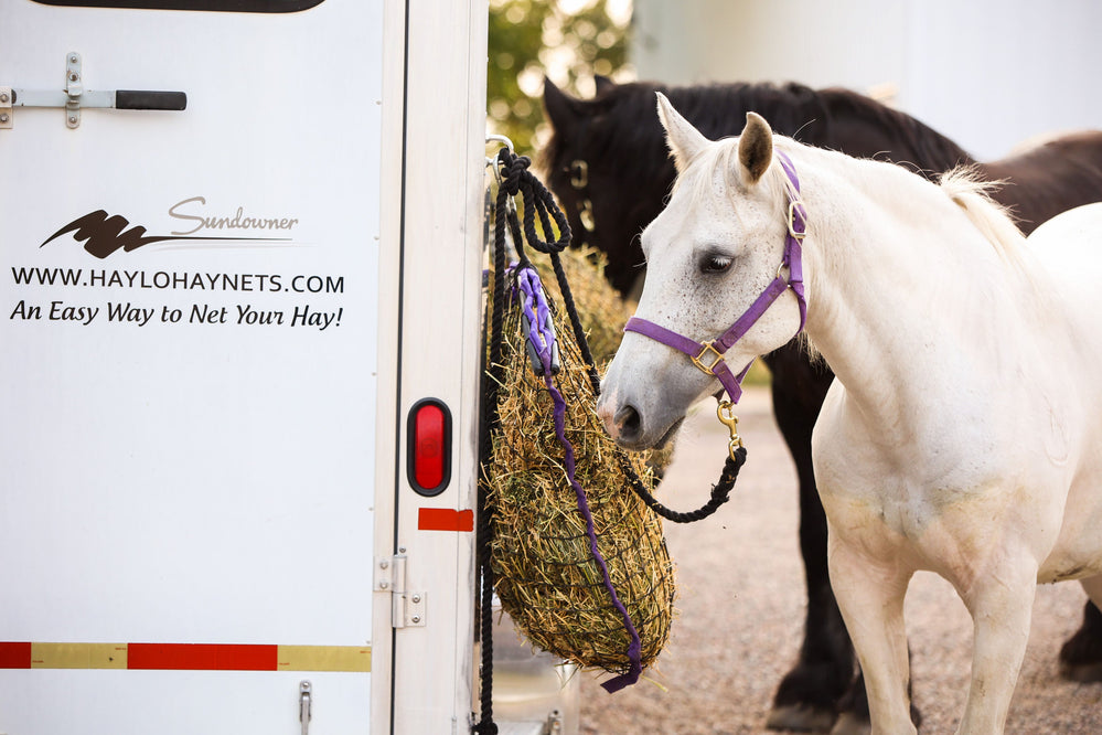 Haylo Regular Hay Net - Equine Exchange Tack Shop