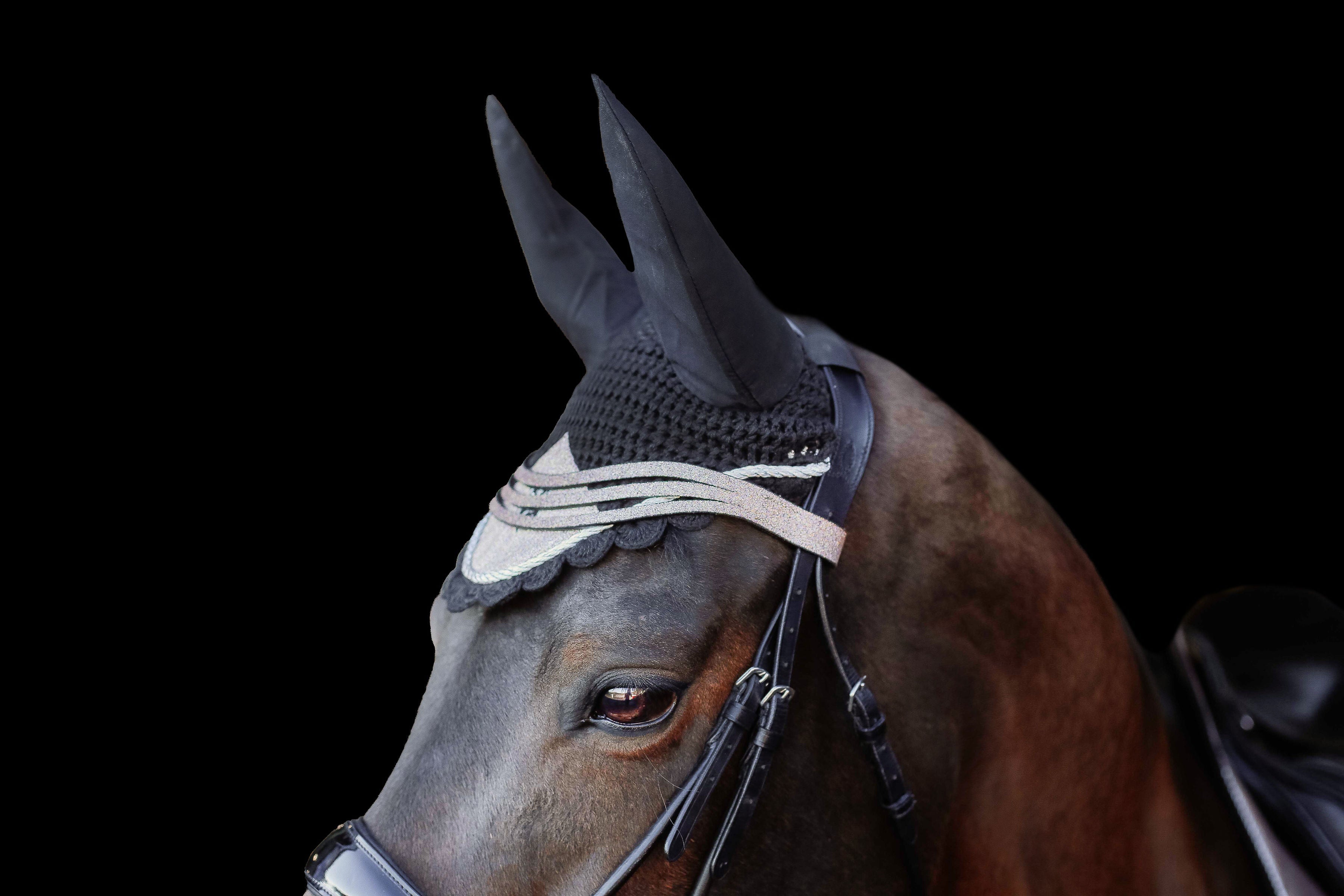 Nutmeg Browband - Equine Exchange Tack Shop