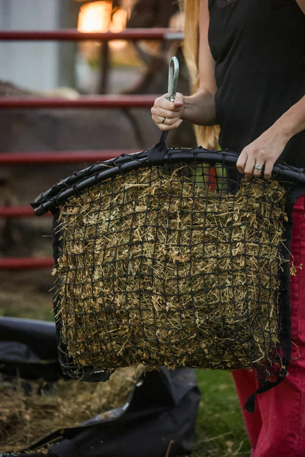 Haylo XS Hay Net - Equine Exchange Tack Shop