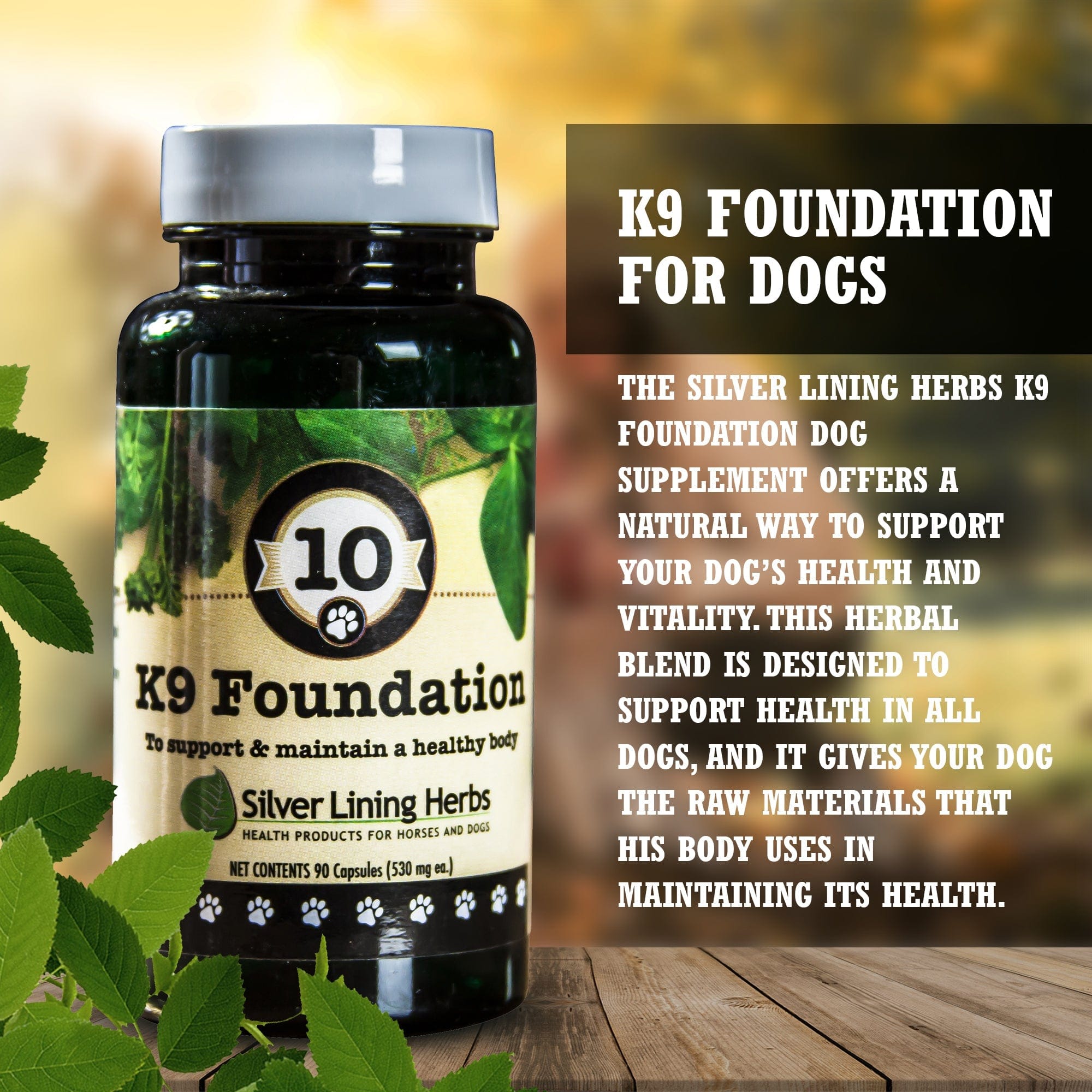 Foundation for Canines - Equine Exchange Tack Shop