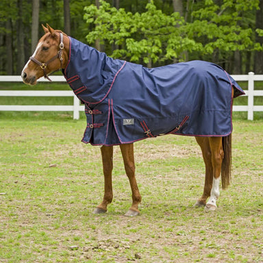 TuffRider Comfy Detachable Neck - Equine Exchange Tack Shop