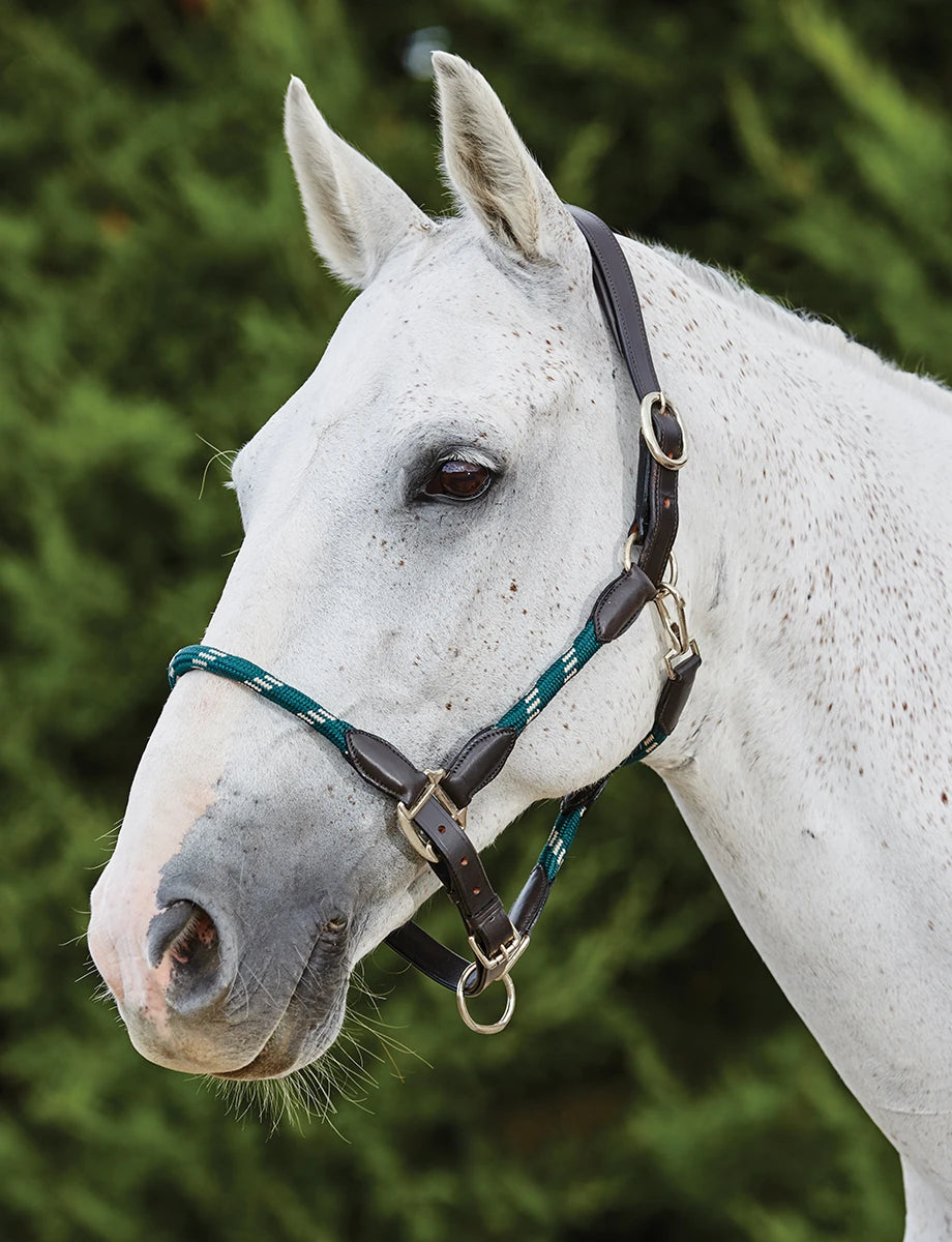 Kincade Leather/Rope Halter