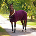 Shires Deluxe Fleece Cooler - Equine Exchange Tack Shop
