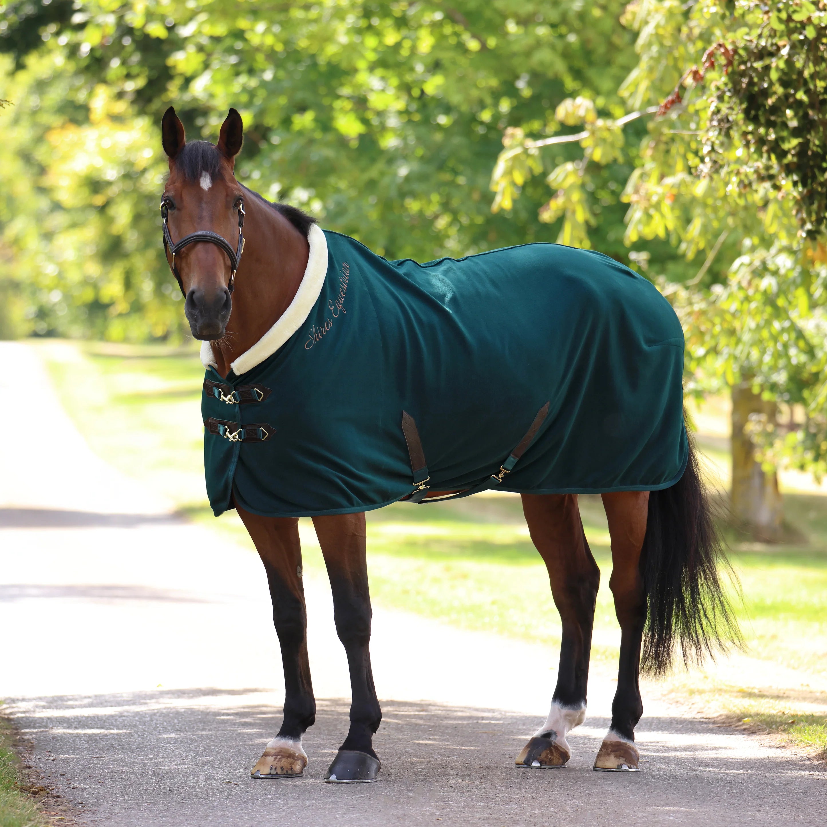 Shires Deluxe Fleece Cooler - Equine Exchange Tack Shop