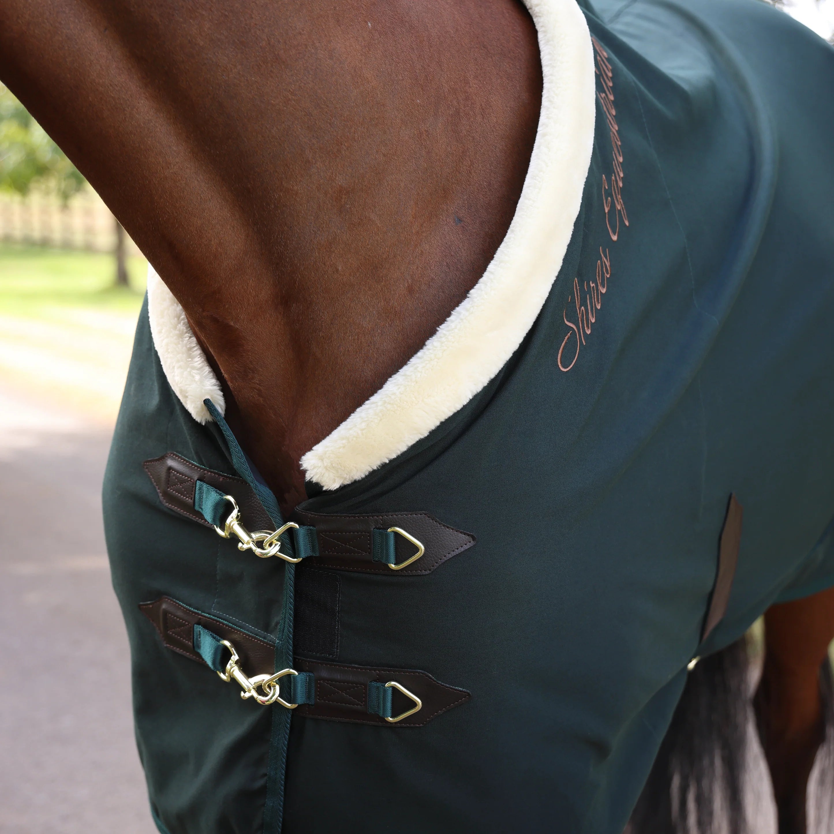 Shires Deluxe Stable Sheet - Equine Exchange Tack Shop