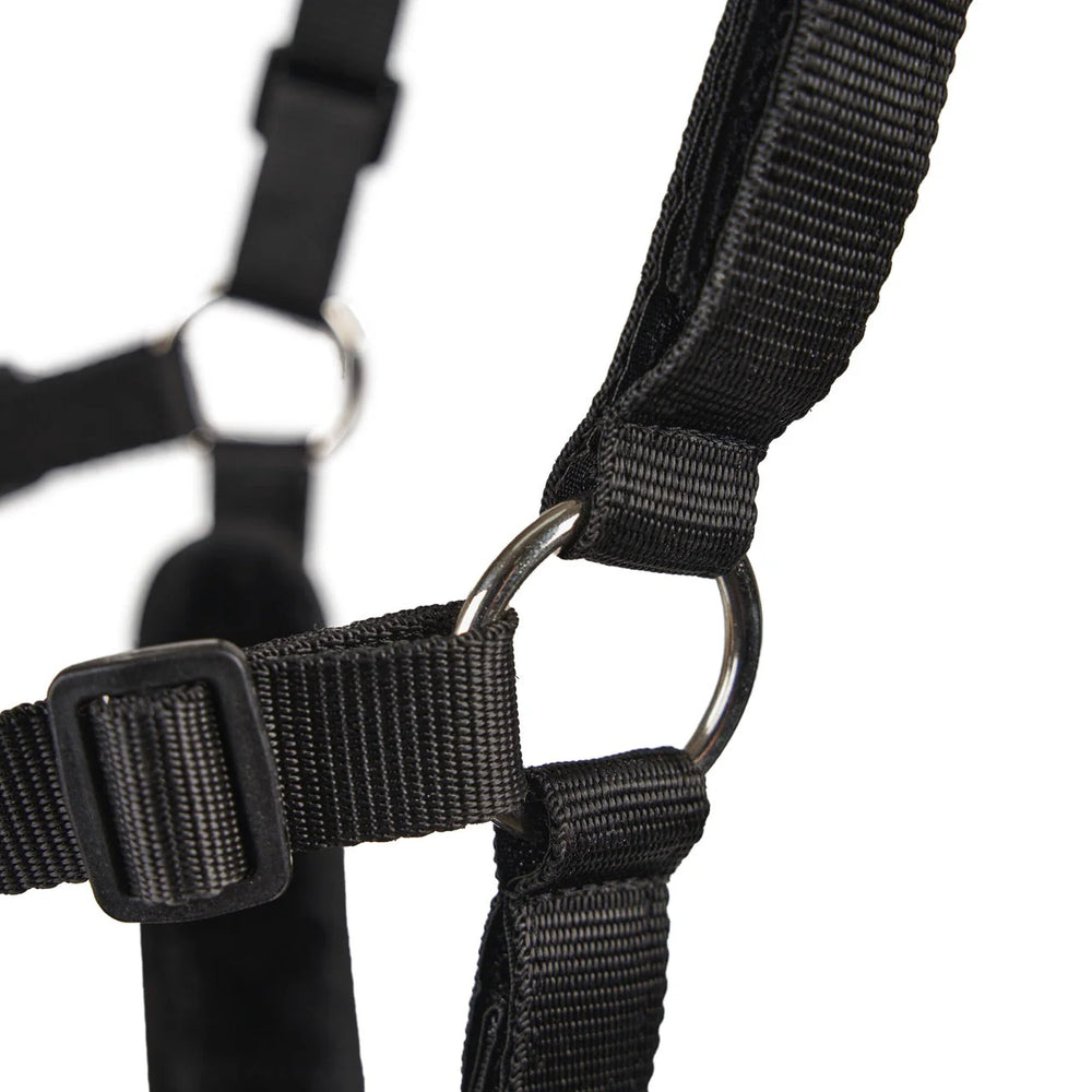 FreeGraze AirFlow Grazing Muzzle - Equine Exchange Tack Shop