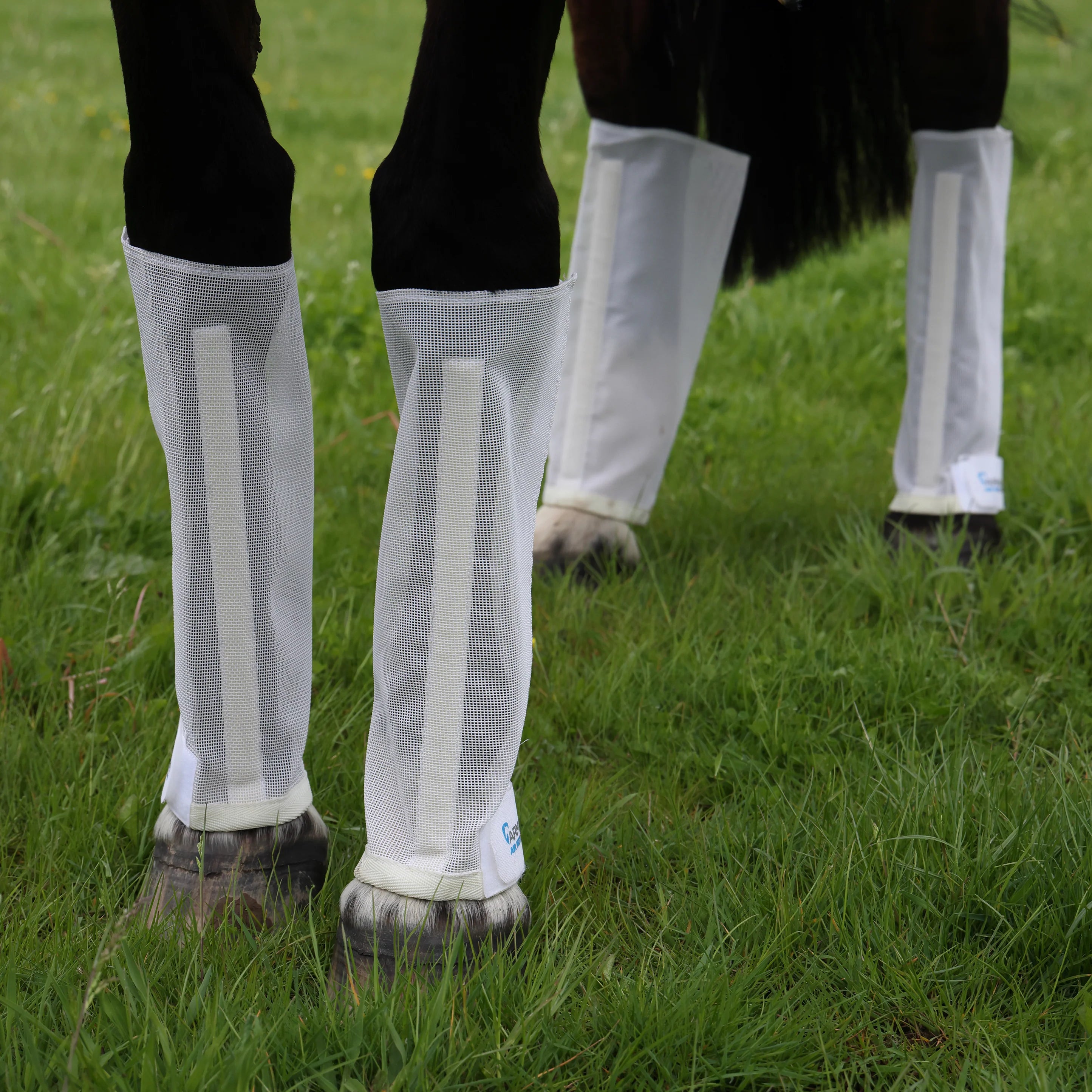 ARMA Mesh Fly Boot Set  