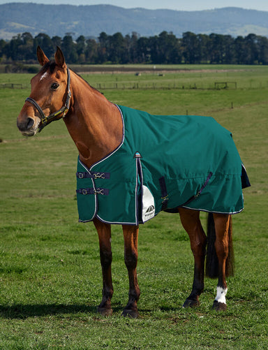 ComFiTec Plus Dynamic 220G Turnout Blanket - Equine Exchange Tack Shop