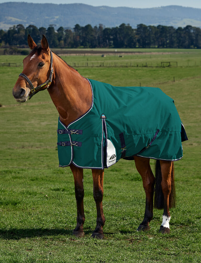 ComFiTec Plus Dynamic 220G Turnout Blanket - Equine Exchange Tack Shop