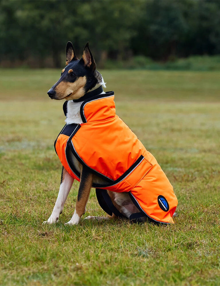 Weatherbeeta Reflective Dog Coat - Equine Exchange Tack Shop
