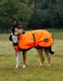 Weatherbeeta Reflective Dog Coat - Equine Exchange Tack Shop
