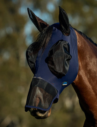 Horse wearing a blue fly mask with black mesh in a natural setting