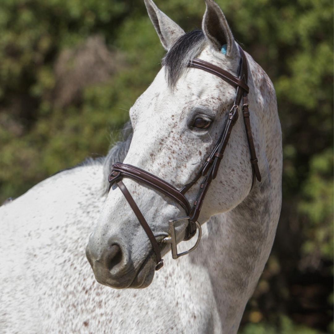 ExionPro Mono Crown Snaffle Bridle w/Rubber Reins  