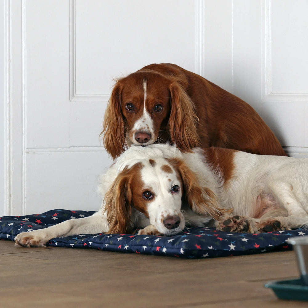 Digby & Fox Waterproof Padded Dog Bed