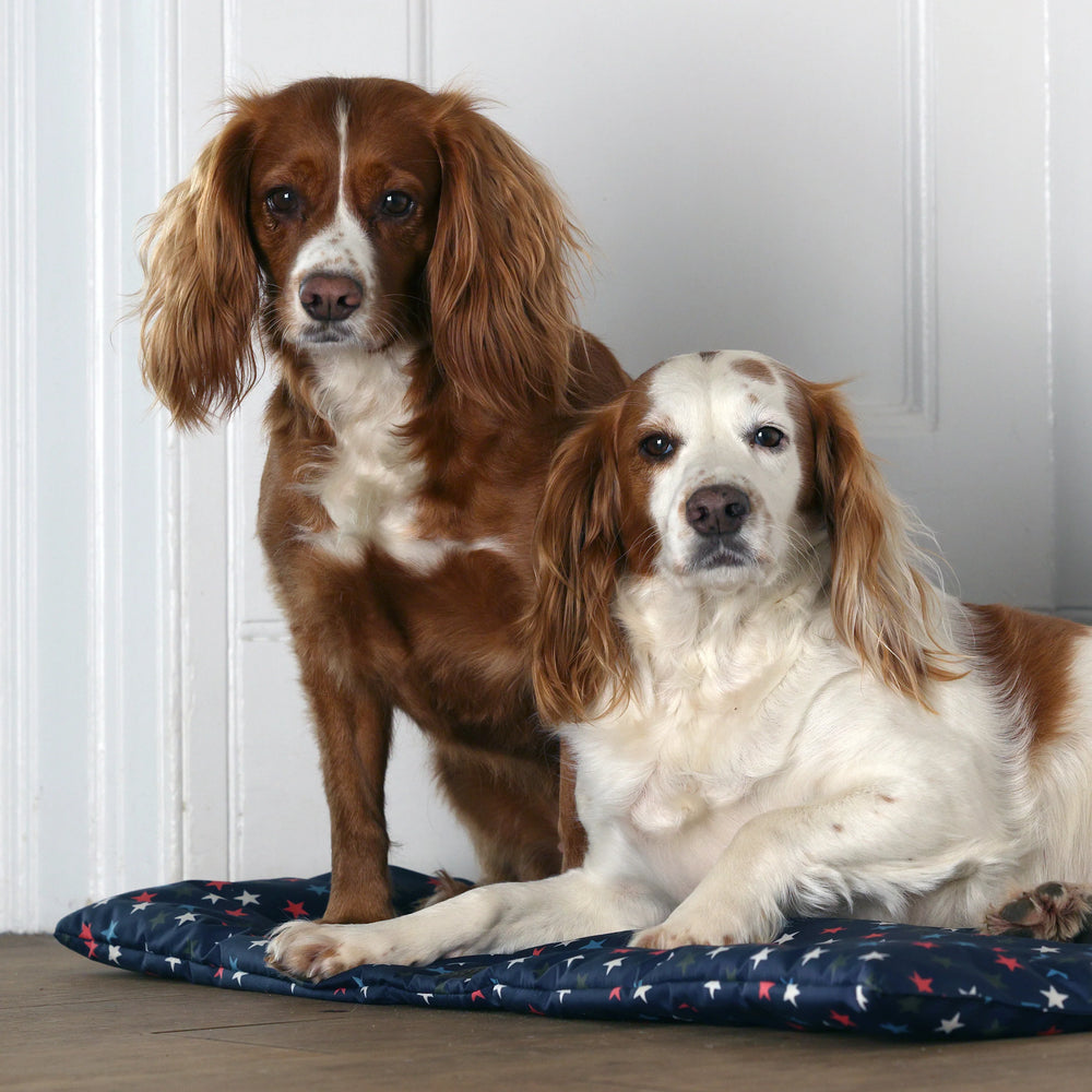 Digby & Fox Waterproof Padded Dog Bed
