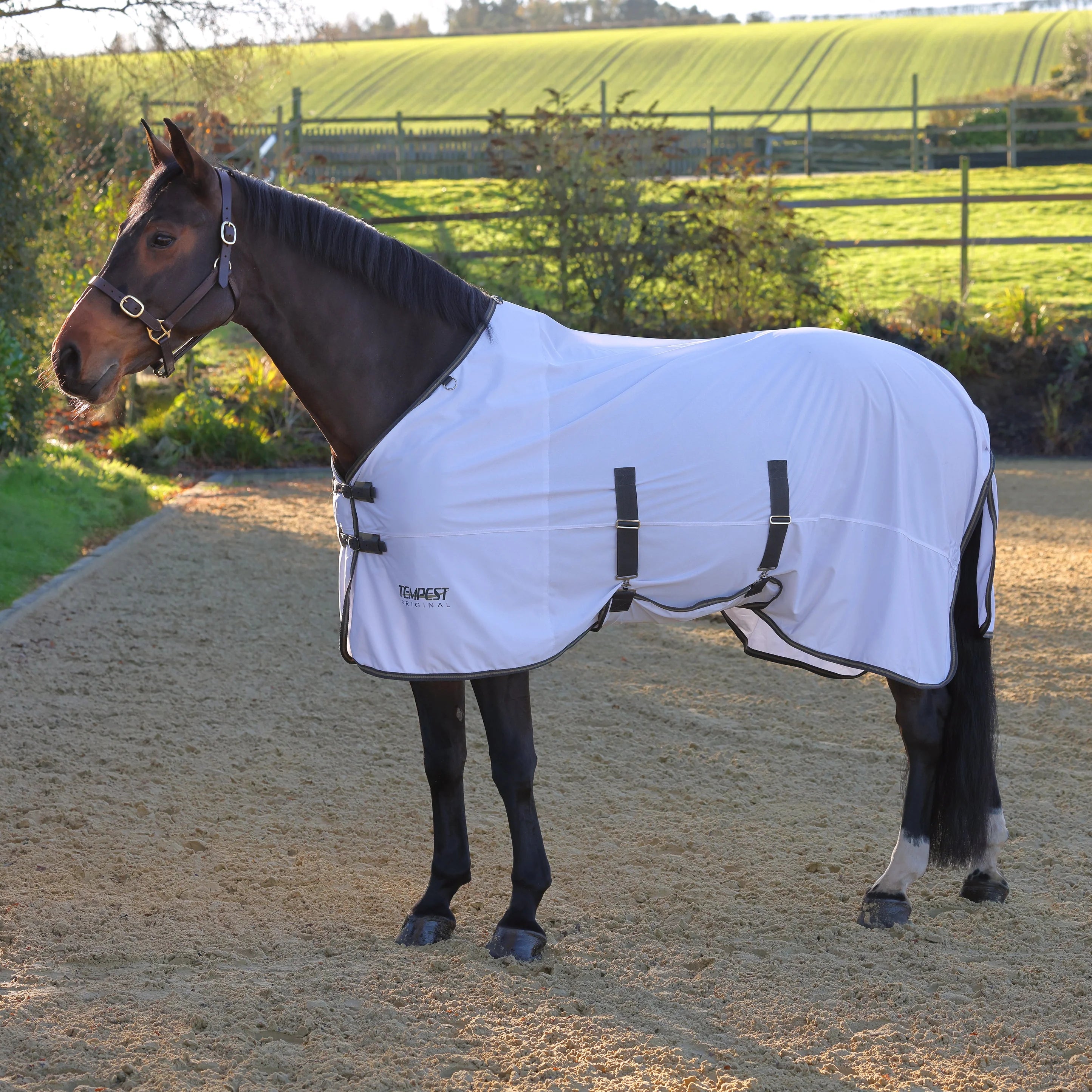 Shire's Tempest Fly Sheet  