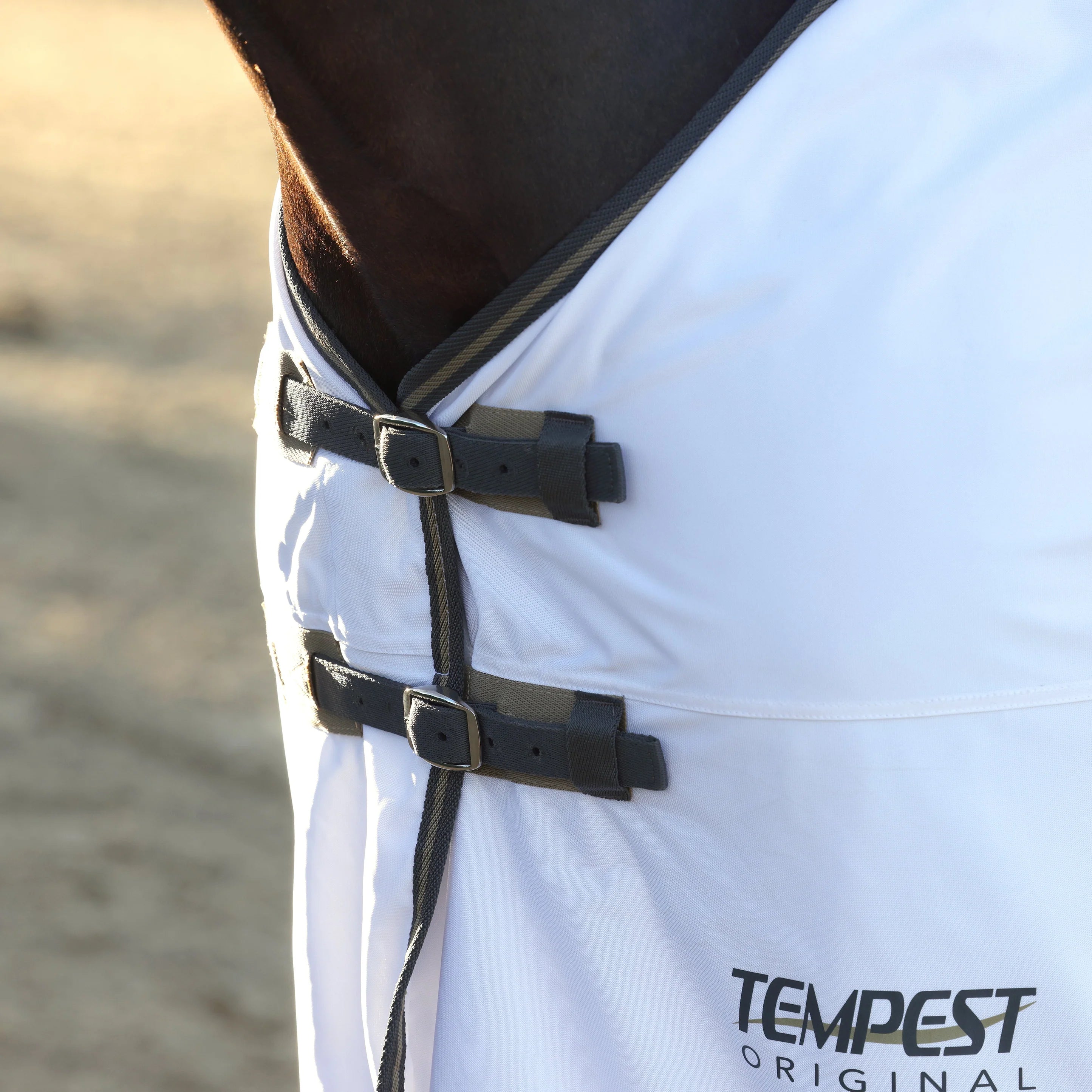Shire's Tempest Fly Sheet  