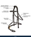 ExionPro Broad Crownpiece Designer Fully Adjustable Figure 8 Bridle with Reins - Equine Exchange Tack Shop