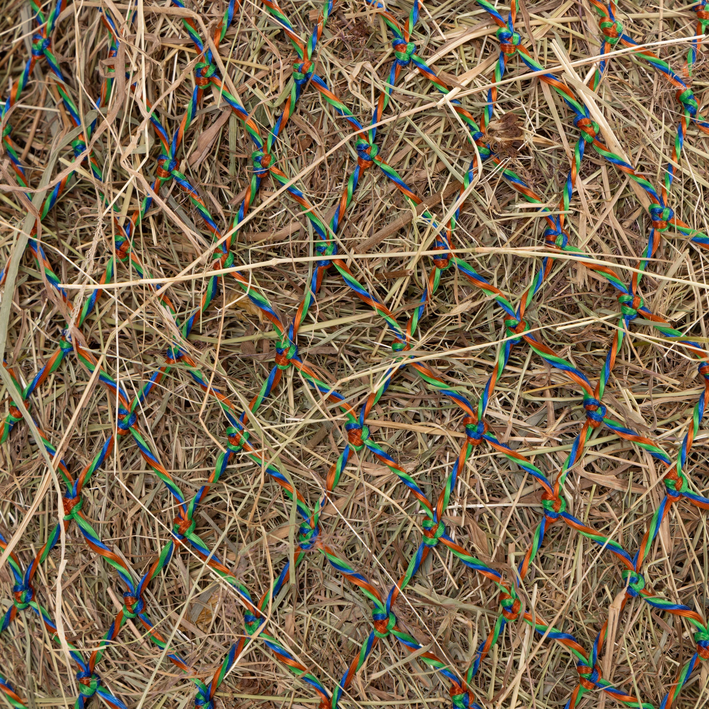 Color Twist Greedy Feeder - Equine Exchange Tack Shop