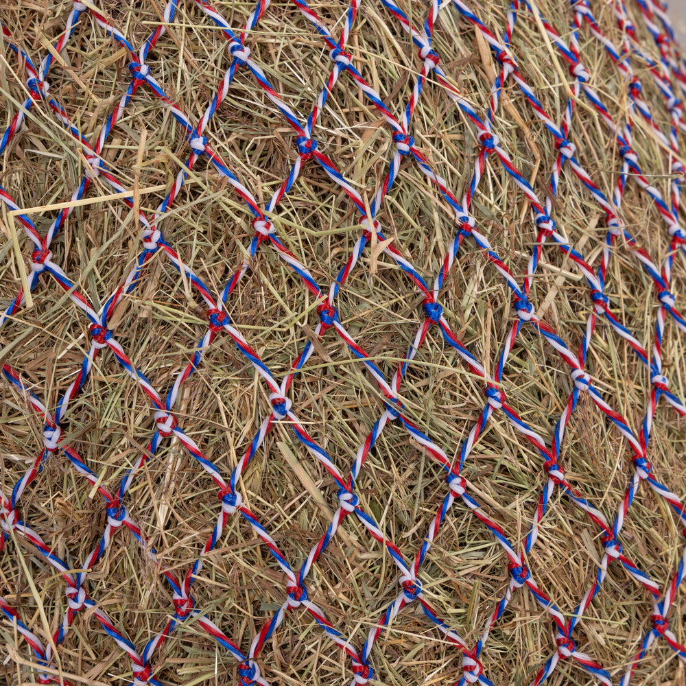 Color Twist Greedy Feeder - Equine Exchange Tack Shop