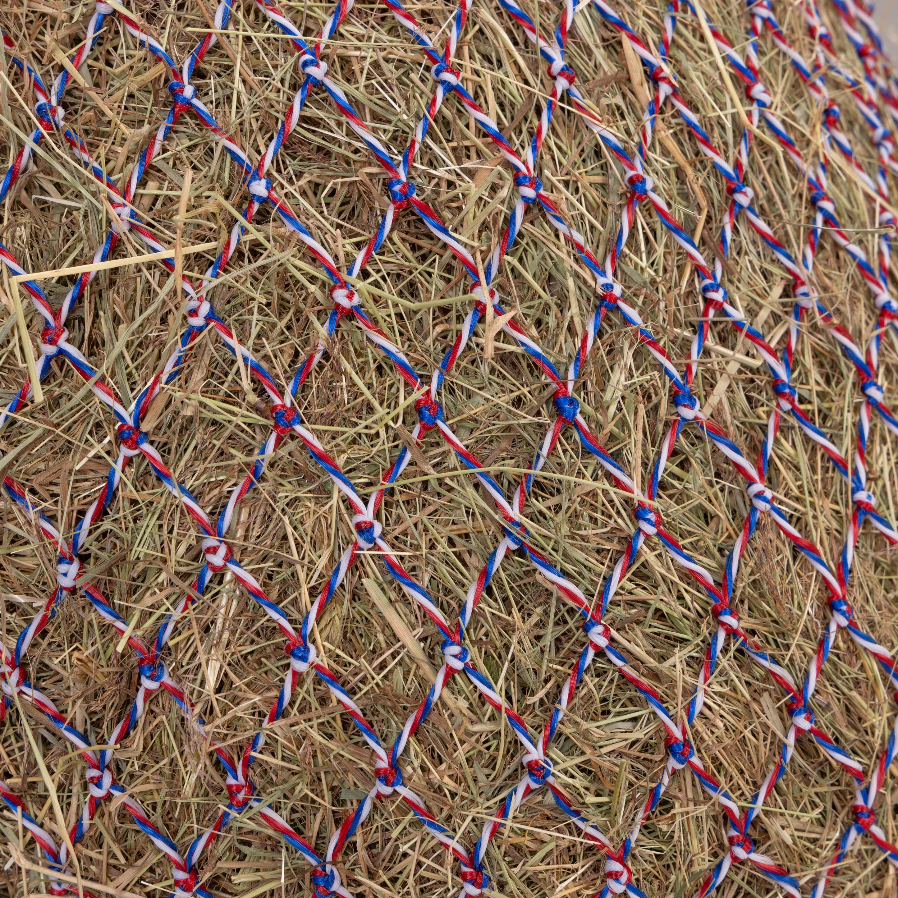 Color Twist Greedy Feeder - Equine Exchange Tack Shop