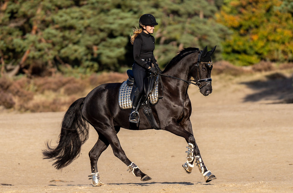 Aurum Bell Boots - Equine Exchange Tack Shop