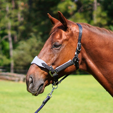 Magna Halter ™ in Black with Fleece Noseband and Leather Breakaway - Equine Exchange Tack Shop