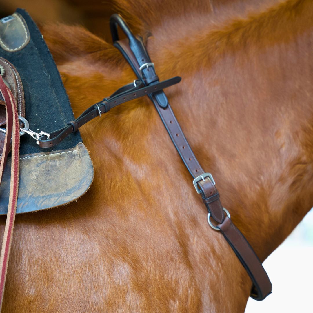 Double Neck Strap - Equine Exchange Tack Shop