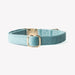 'Blue' - Velvet Dog Collar - Equine Exchange Tack Shop