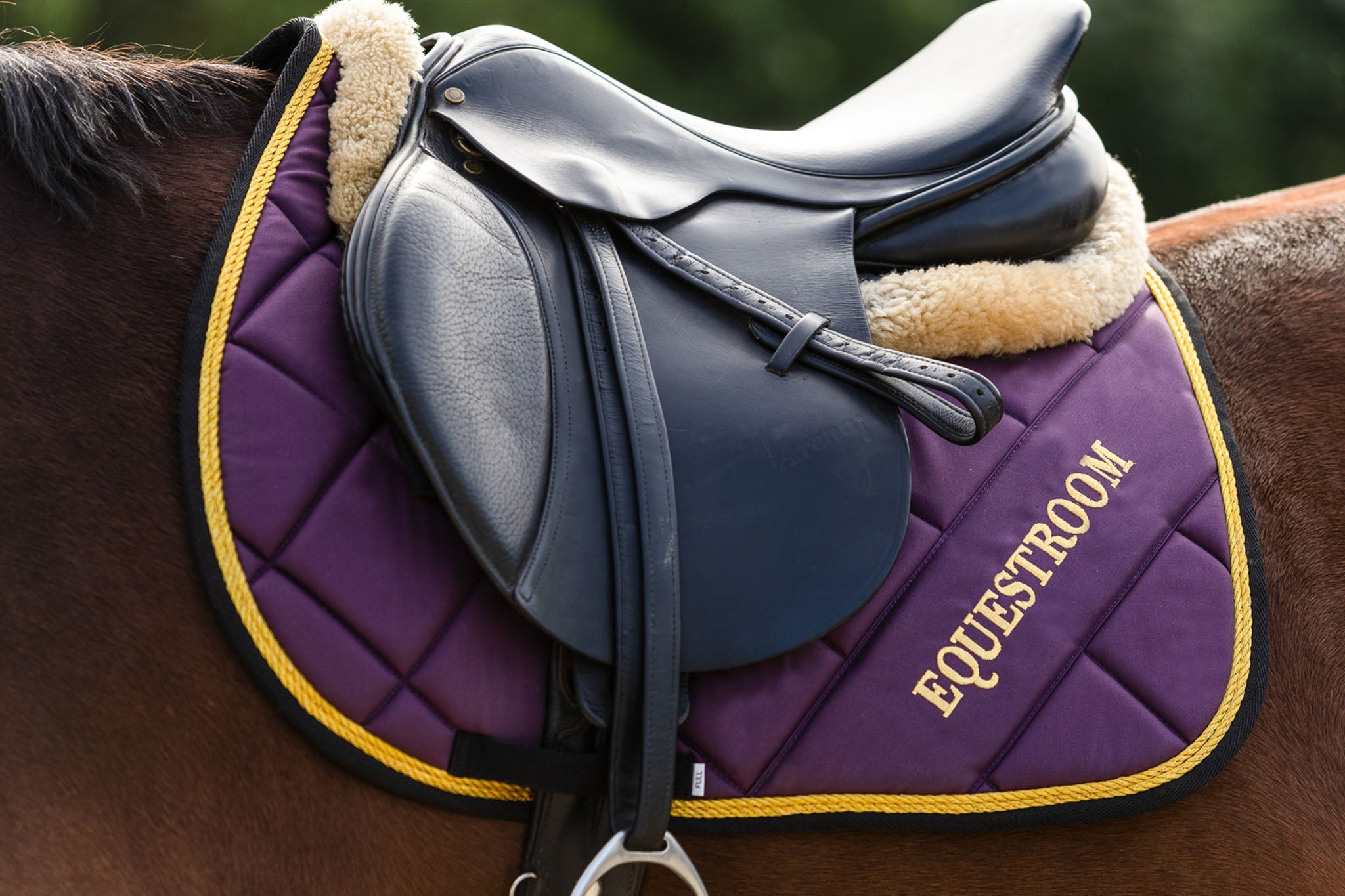 Dark Orchid Saddle Pad - Equine Exchange Tack Shop