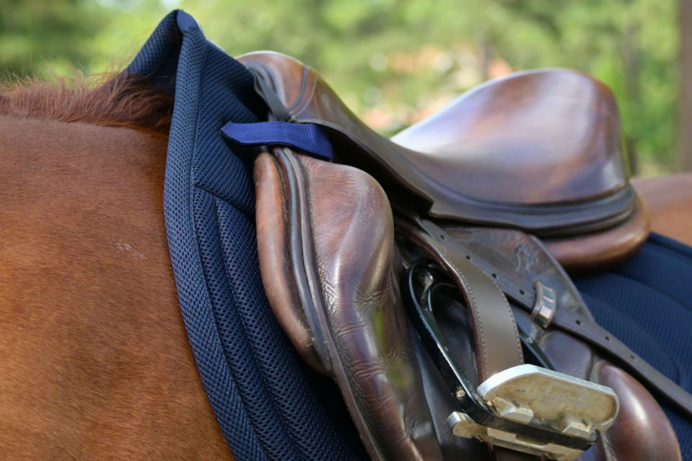 General Purpose Mesh Saddle Pad with Quick Dry Cotton Lining in Navy, White, or Black - Equine Exchange Tack Shop