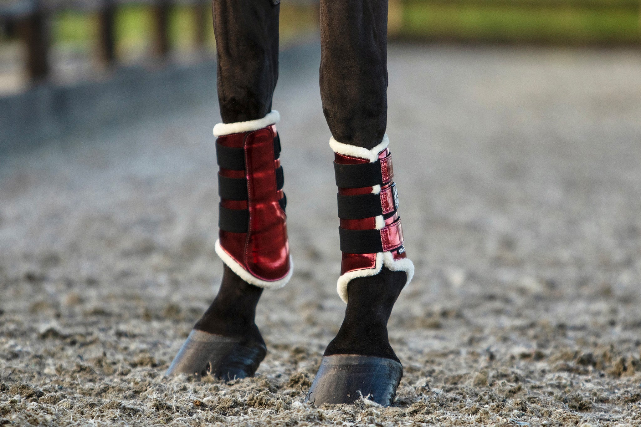 Electric Red Saddle Pad Set - Equine Exchange Tack Shop