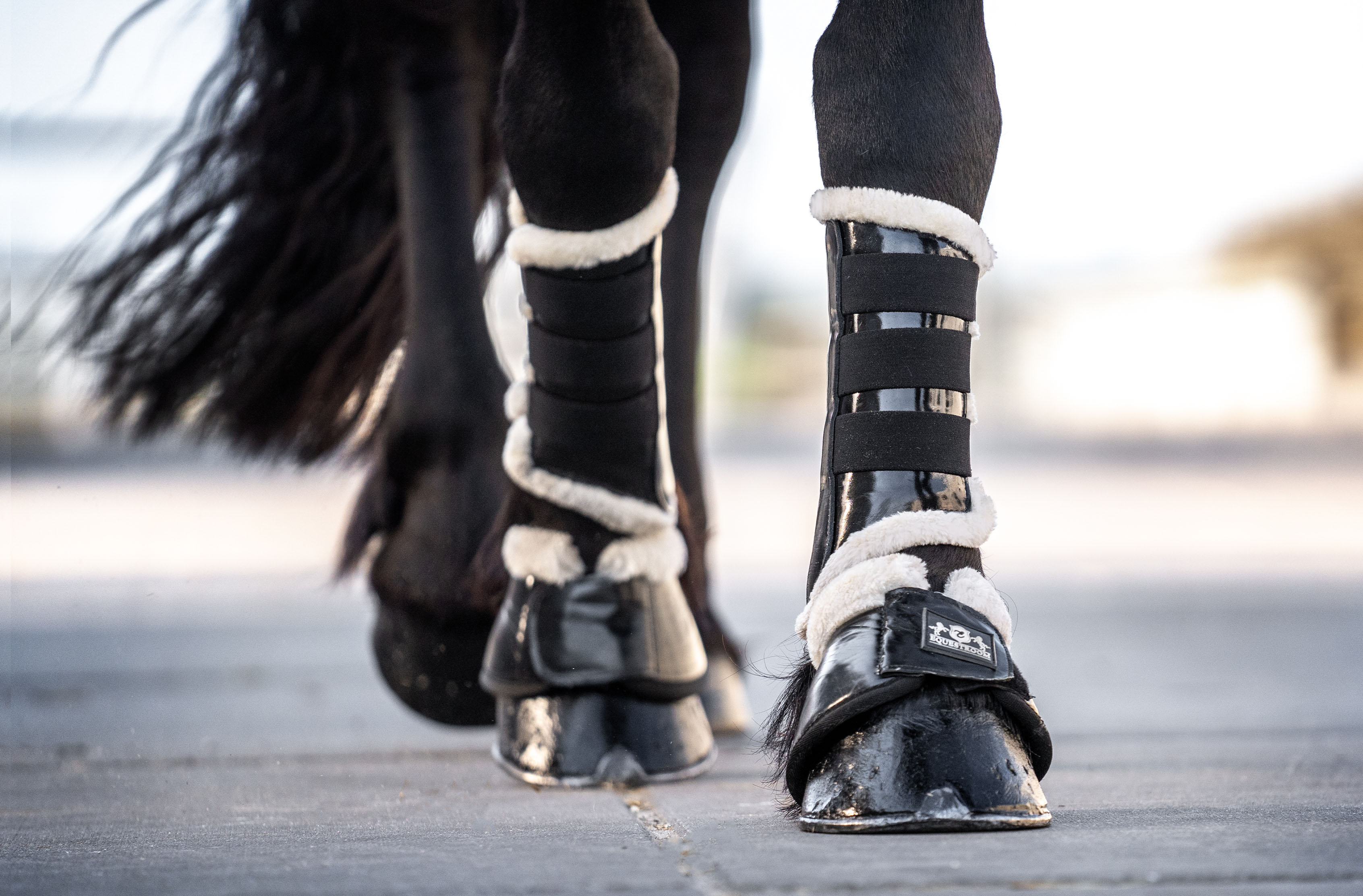 Black Ink Bell Boots - Equine Exchange Tack Shop