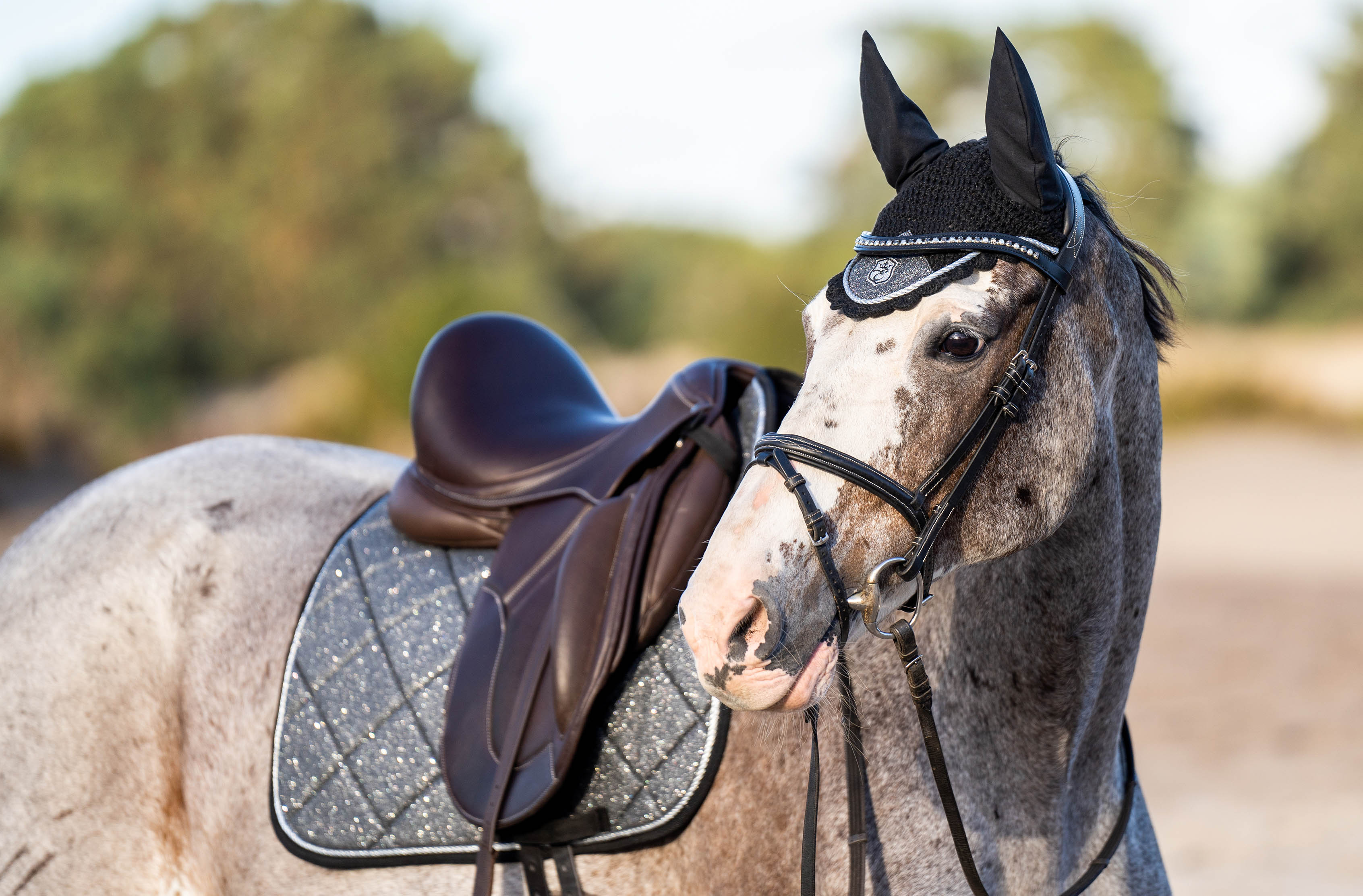 Stardust Grey Fly Hat - Equine Exchange Tack Shop