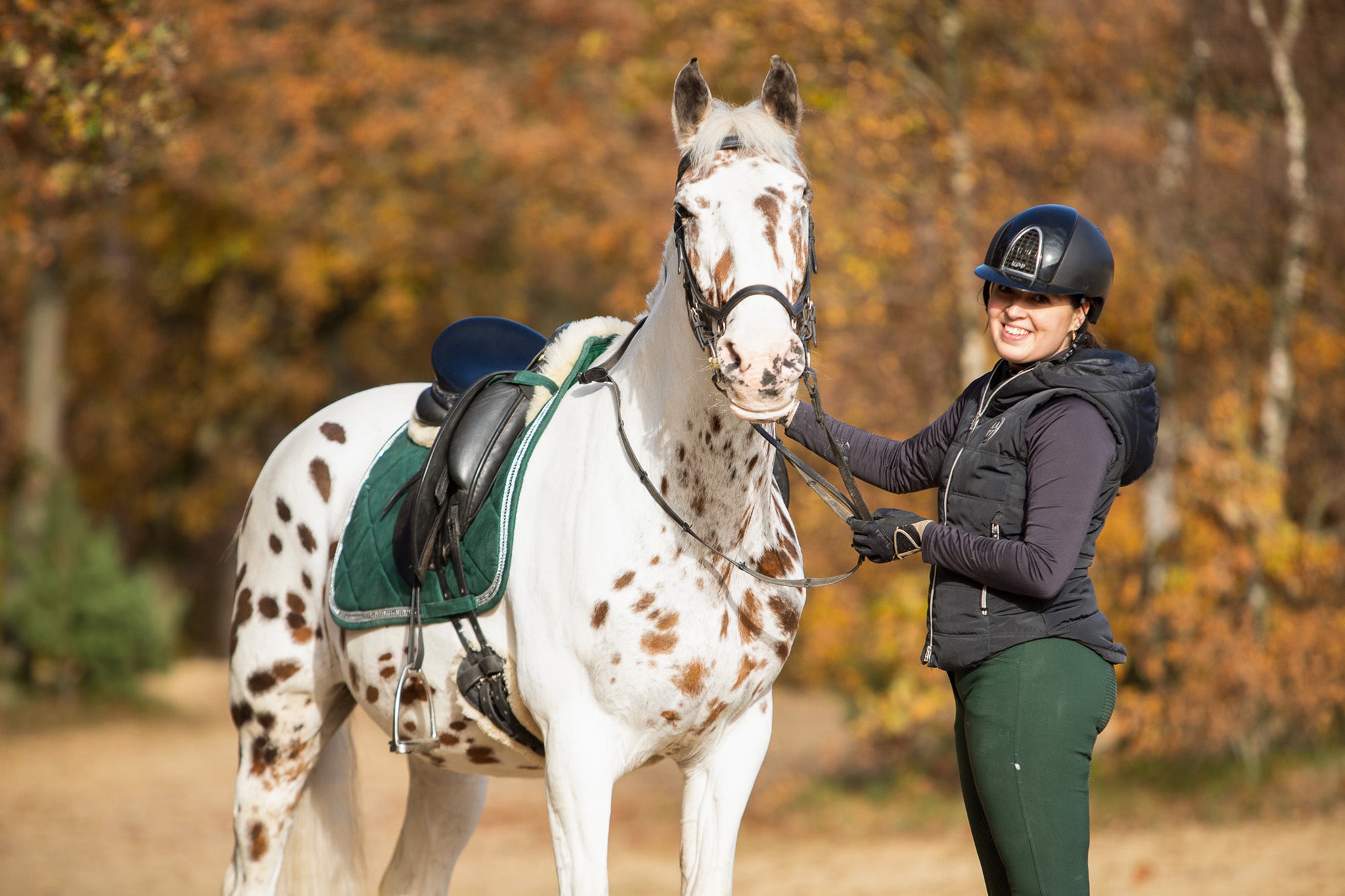 Pine Grove Saddle Pad - Equine Exchange Tack Shop