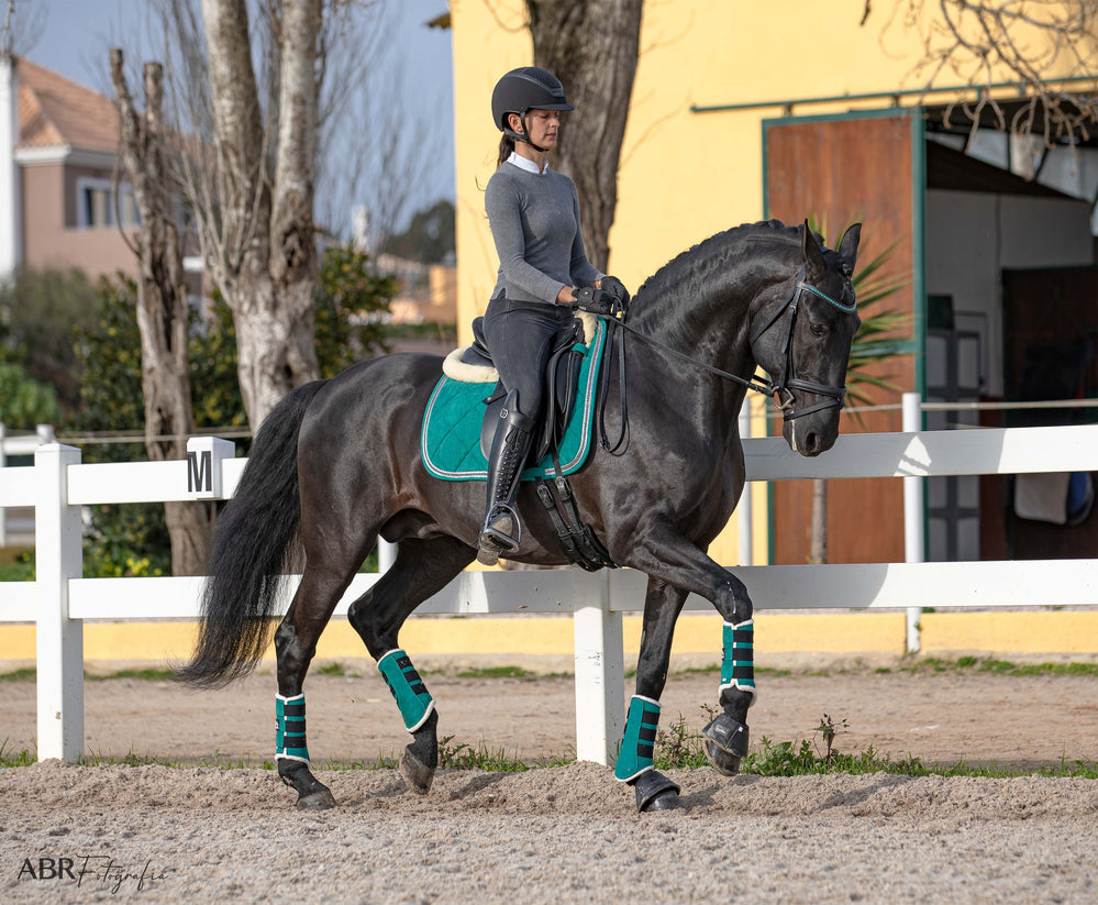 Teal Saddle Pad - Equine Exchange Tack Shop