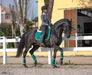 Teal Saddle Pad - Equine Exchange Tack Shop