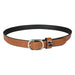 Equine Couture Vegan-X Belt - Equine Exchange Tack Shop