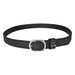 Equine Couture Vegan-X Belt - Equine Exchange Tack Shop