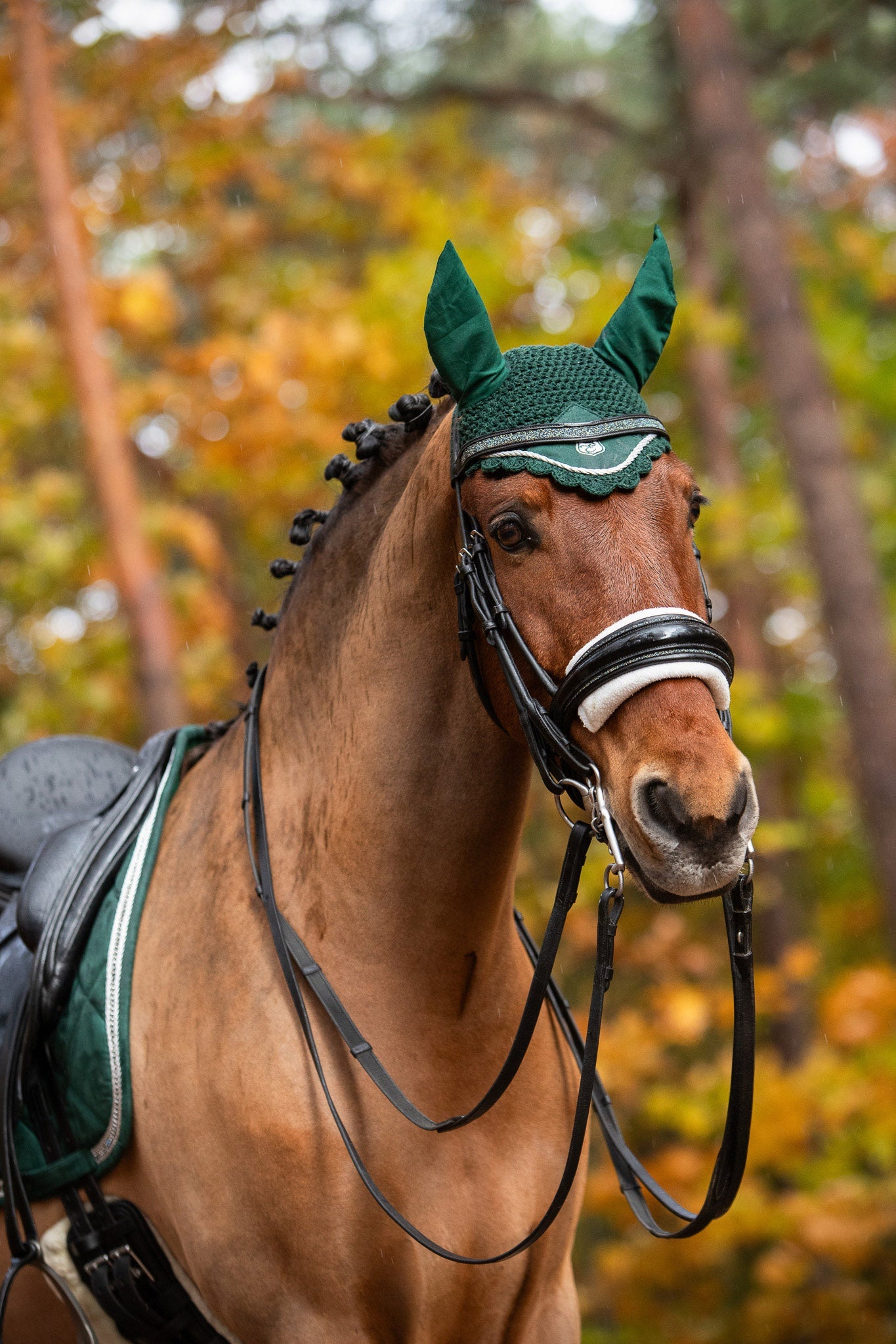 Pine Grove Saddle Pad Set - Equine Exchange Tack Shop