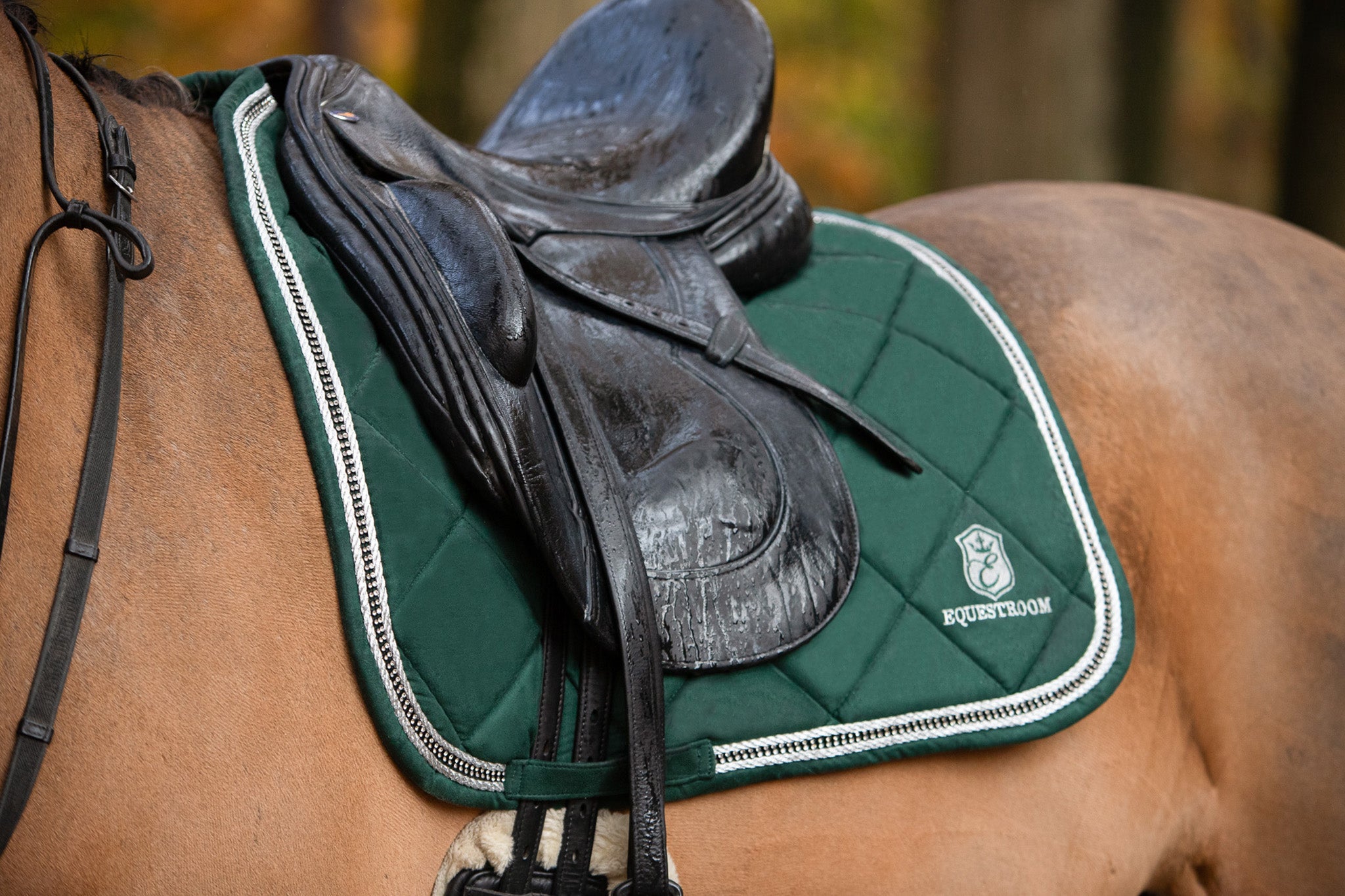 Pine Grove Saddle Pad Set - Equine Exchange Tack Shop