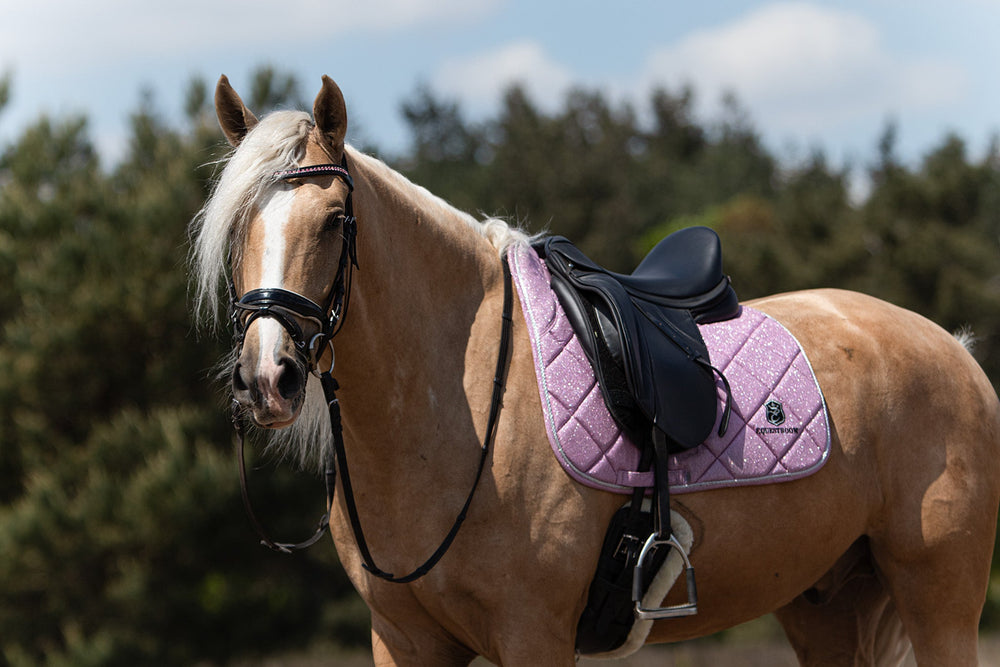 Pink Mist Browband - Equine Exchange Tack Shop